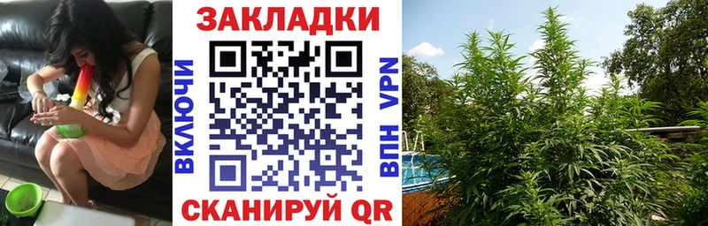 Купить наркотики Кинешма Альфа ПВП  Канабис  Cocaine  Меф  ГАШИШ 