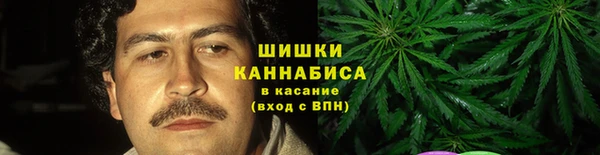 mdpv Богданович