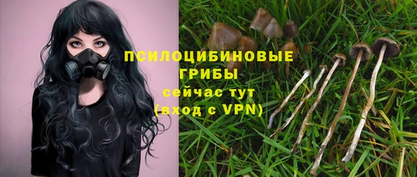 гашик Богородицк