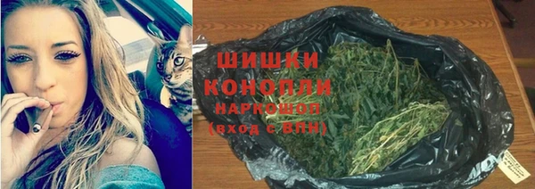 гашик Богородицк