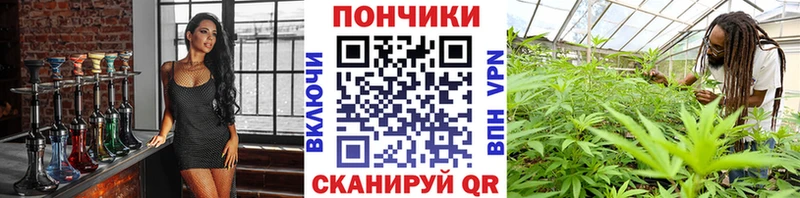 Бошки Шишки Amnesia Кинешма